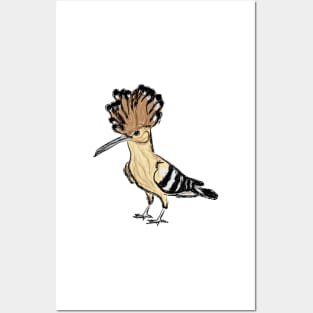 Artwork of an Eurasian Hoopoe Bird I Posters and Art